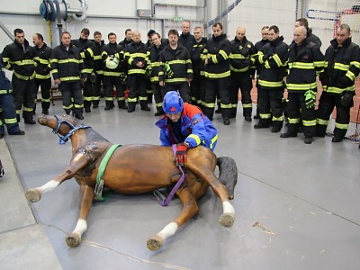 Krajští hasiči prošli školením na záchranu velkých zvířat 
