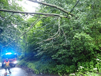 Krajští hasiči zasahovali po silném větru u vyvrácených stromů