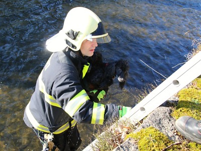 Rychlá hasičská záchrana psa, který spadl do koryta Nisy