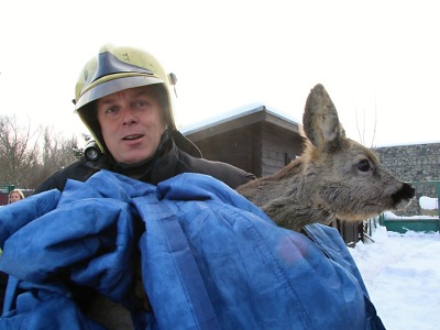 Hasiči zachraňovali srnku v korytu Lužické Nisy v Liberci