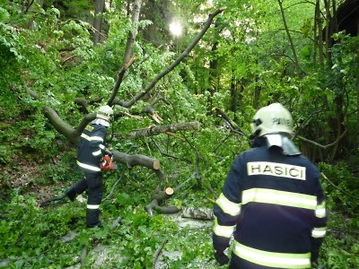 Nedělní nárazový vítr kácel na Jablonecku a v Libereckém kraji stromy