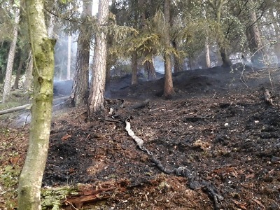 Kvůli rozsáhlému požáru lesa aktivovány hasičské jednotky 3. stupně