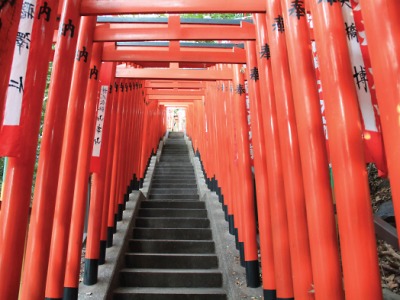 V Eurocentru uvidíte fotografie Henryka Dumina