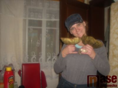 Houbařský úlovek roku – čtenářská fotografická soutěž