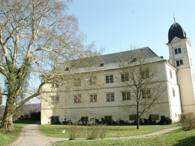 Kauza Walderode se vrací znovu na začátek, k soudu v Semilech