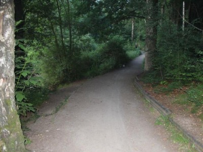 Dva cyklisté do sebe narazili na silnici u jablonecké přehrady