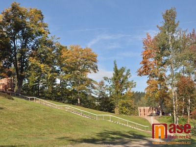 V Jablonci někdo úmyslně poškozuje stromy. Navrtává do nich díry