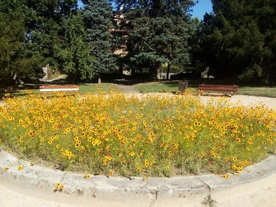 Park v Nové Pasířské zkrášlí jídelna pro motýly