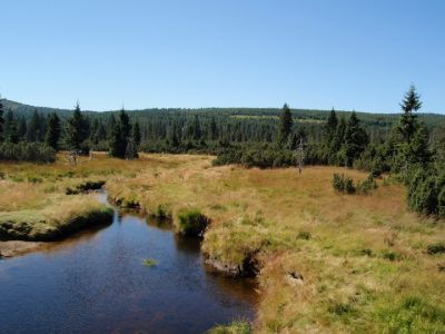 Za poznáním se vydejte na akci Tajemná rašeliniště 