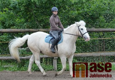Obrazem: TJ JO Nisa - Den otevřených dveří Obrazem: TJ JO Nisa - Den otevřených dveří
