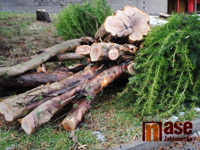 Obyvatelé z Nové Pasířské protestují proti kácení stromů