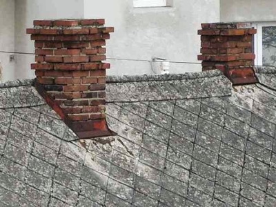 Falešný komíník řadí na Turnovsku a jeho okolí