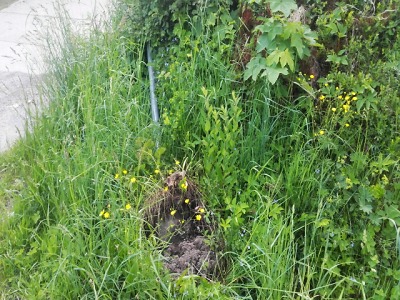 Zloděj dopravního zrcadla ohrozil v Nové Vsi bezpečnost na silnici