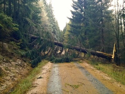 Buďte při vstupu do lesa kvůli následkům vichřice obezřetní