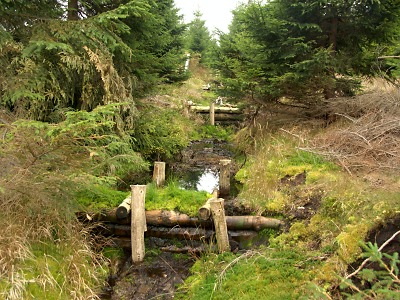 I v Krkonoších slavíme Světový den vody