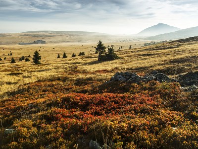 Rok 2023 je rokem 60. výročí založení Krkonošského národního parku