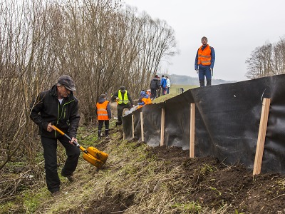 Řidiči pozor! Začíná jarní migrace žab