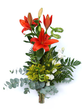 Za Tondou Vrabcem...