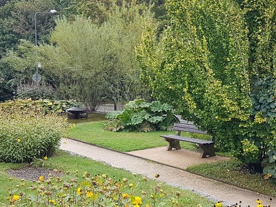 Nové lavičky v botanické nabídnou paletu barev i vůni pryskyřice