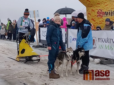 Šampionát v závodech psích spřežení v Zásadě zkomplikovala obleva