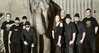 Další díl města tónů nabídne varhany po česku i zvířecí přehradu