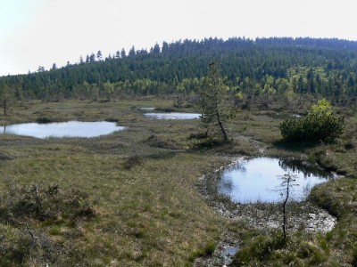 Delegace z kraje navštívila mokřady Horní Jizery