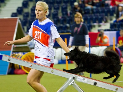 Mistrovství světa v agility 2017 míří do Liberce