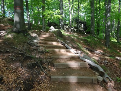 Pomáhat pohybem můžete i přímo Jizerkám