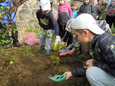 Nadace pro obnovu Jizerek pomůže školám s ekologickou výchovou