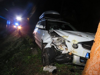 Řidič v Albrechticích narazil čelně do stromu