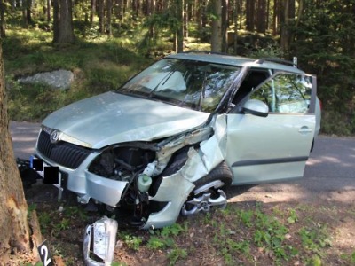 Ve stoupání v Albrechticích narazil s autem do stromu