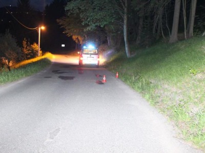 Cyklista v Albrechticích havaroval, protože ho do ruky bodla včela