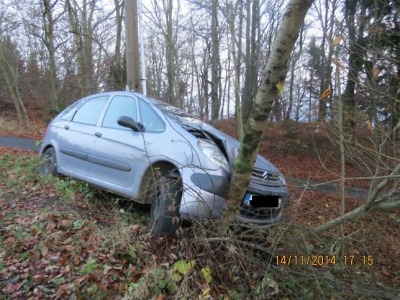 Řidič se ve Frýdštejně po smyku zastavil až o strom a elektrický sloup