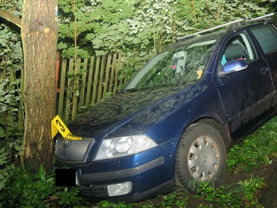Pod vlivem alkoholu narazil v Tanvaldě s autem do stromu