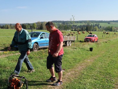 Města a obce mohou opět zažádat o dotaci na podzimní výsadbu stromů