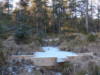 Obnova rašeliniště u Nové louky v Jizerkách je z poloviny hotová
