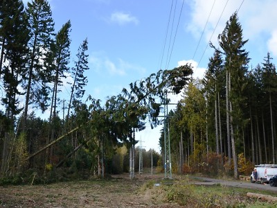 Uplynul přesně rok od ničivého orkánu Herwart
