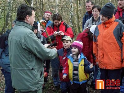 Ornitologové zvou na vítání ptačího zpěvu