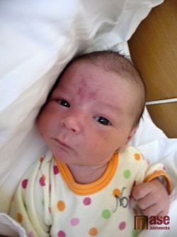 Obrazem: nově narozená miminka 15. - 20. prosince 2011