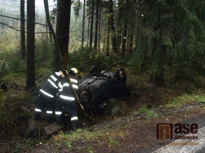 Obrazem: Vozidlo v lese