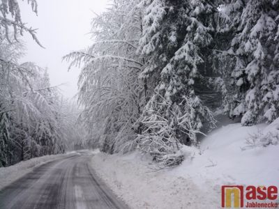 V Jizerkách padají stromy. Uzavřely silnici. Lidé se také ocitli bez elektřiny