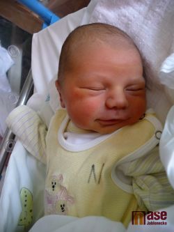 Obrazem: nově narozená miminka 19. - 22. června 2011