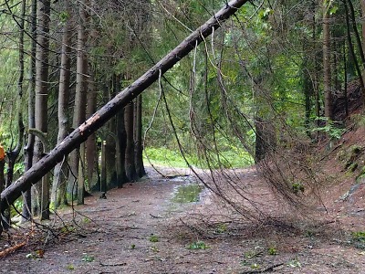 Víkendové počasí Jablonec ušetřilo: hřbitovy zůstávají uzavřeny