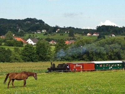 Jízdy parních vlaků Českým rájem potěší o prázdninách děti i dospělé