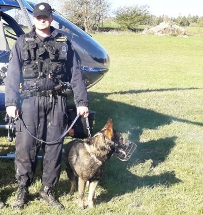 Autor foto:Archiv Policie ČR Mladou ženu hledanou u Železného Brodu vypátral policejní psovod