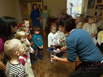 Obrazem: Každý má své kořeny