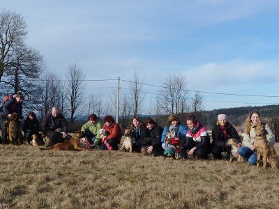 Anketa: Jaký máte názor na čipování psů v Jablonci?