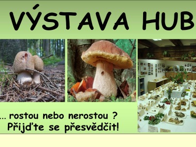V budově Správy CHKO Jizerské hory pořádají výstavu hub