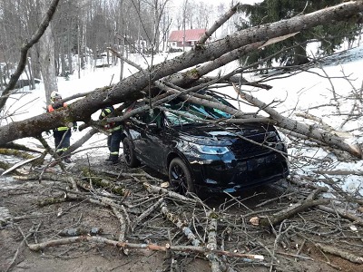 Nový sníh a vítr v kraji porážely stromy a zapříčinily nehody