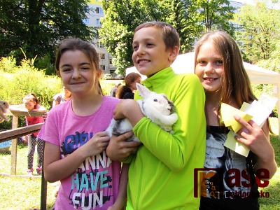 Obrazem: Pohádkový Tyršův park aneb Den dětí a Vikýřakademie